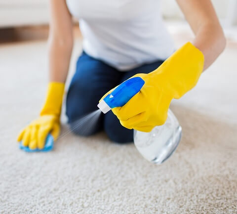 Photograph of High Profile cleaning services firm employing over 1300